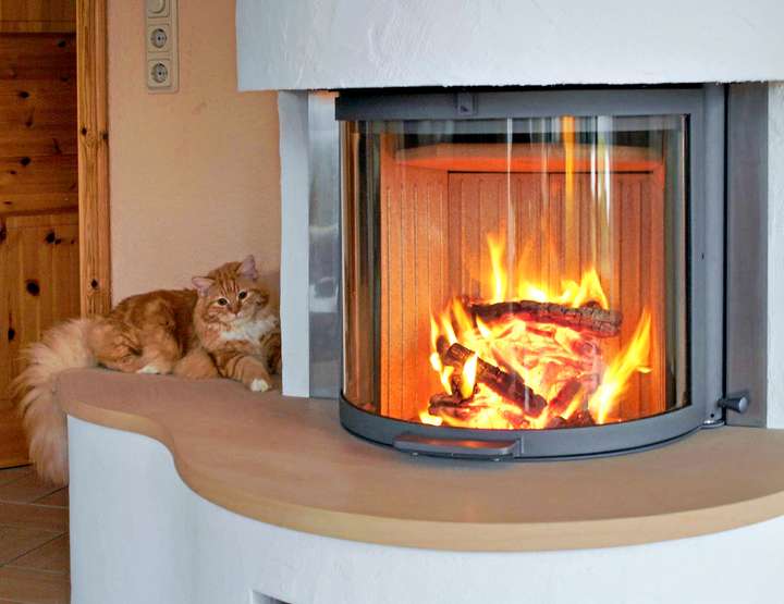 geschwungener-kamin-mit-katze in Sangerhausen